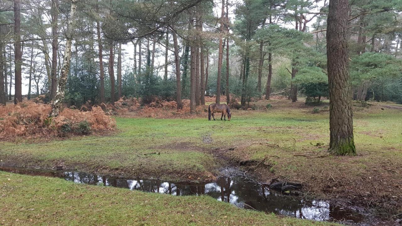 New Forest Lodge Landford Екстер'єр фото